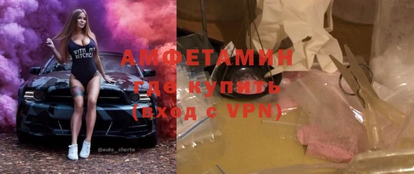ПСИЛОЦИБИНОВЫЕ ГРИБЫ Горно-Алтайск