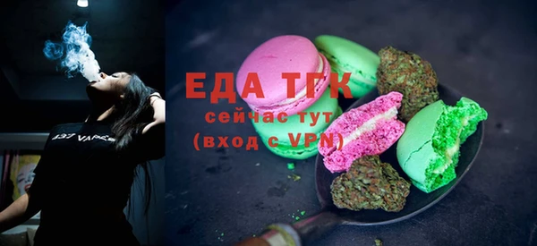 ПСИЛОЦИБИНОВЫЕ ГРИБЫ Горно-Алтайск