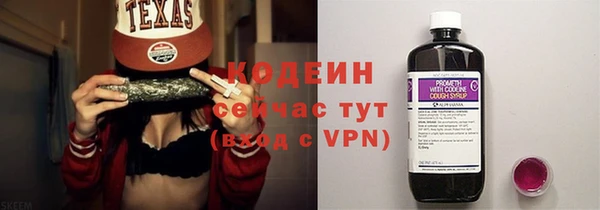 скорость Вяземский