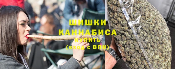 скорость Вяземский