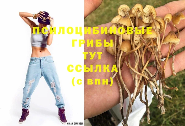 кокаин колумбия Горняк