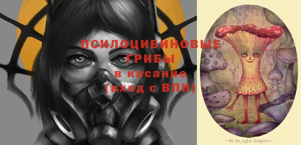 ешки Вязьма
